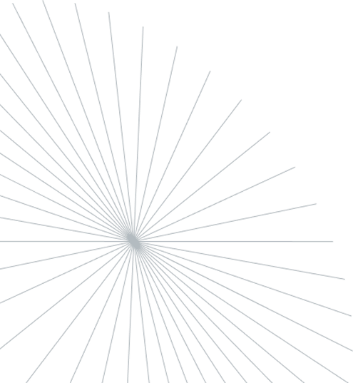 Social Impact Program